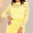 Frill Hem Lace Overlay Bodycon Dress